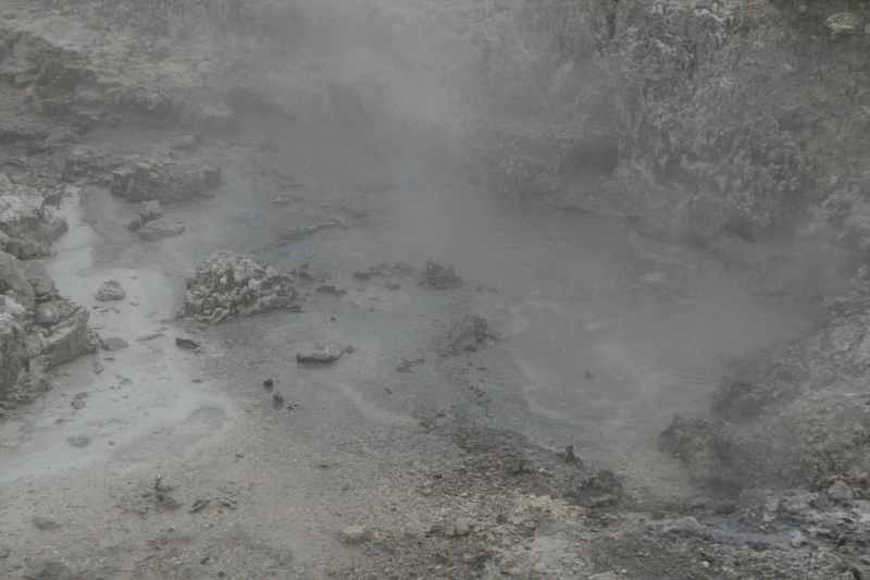 Nieuw-Zeeland 2011 - 0589